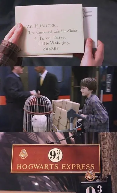 欢乐海盗：我用天书炼卡牌