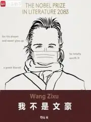 我不是文豪