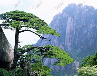 入宅选日子：如何挑选黄道吉日