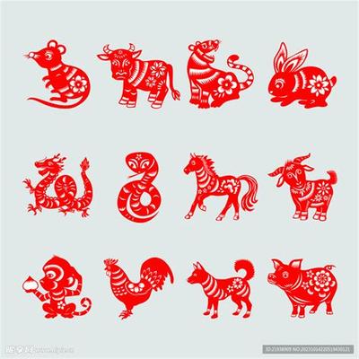 属虎的人性格特征与最佳配对