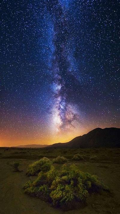 2026年属牛人运势全面分析